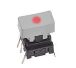 Imagen ampliada de Apem 1R031